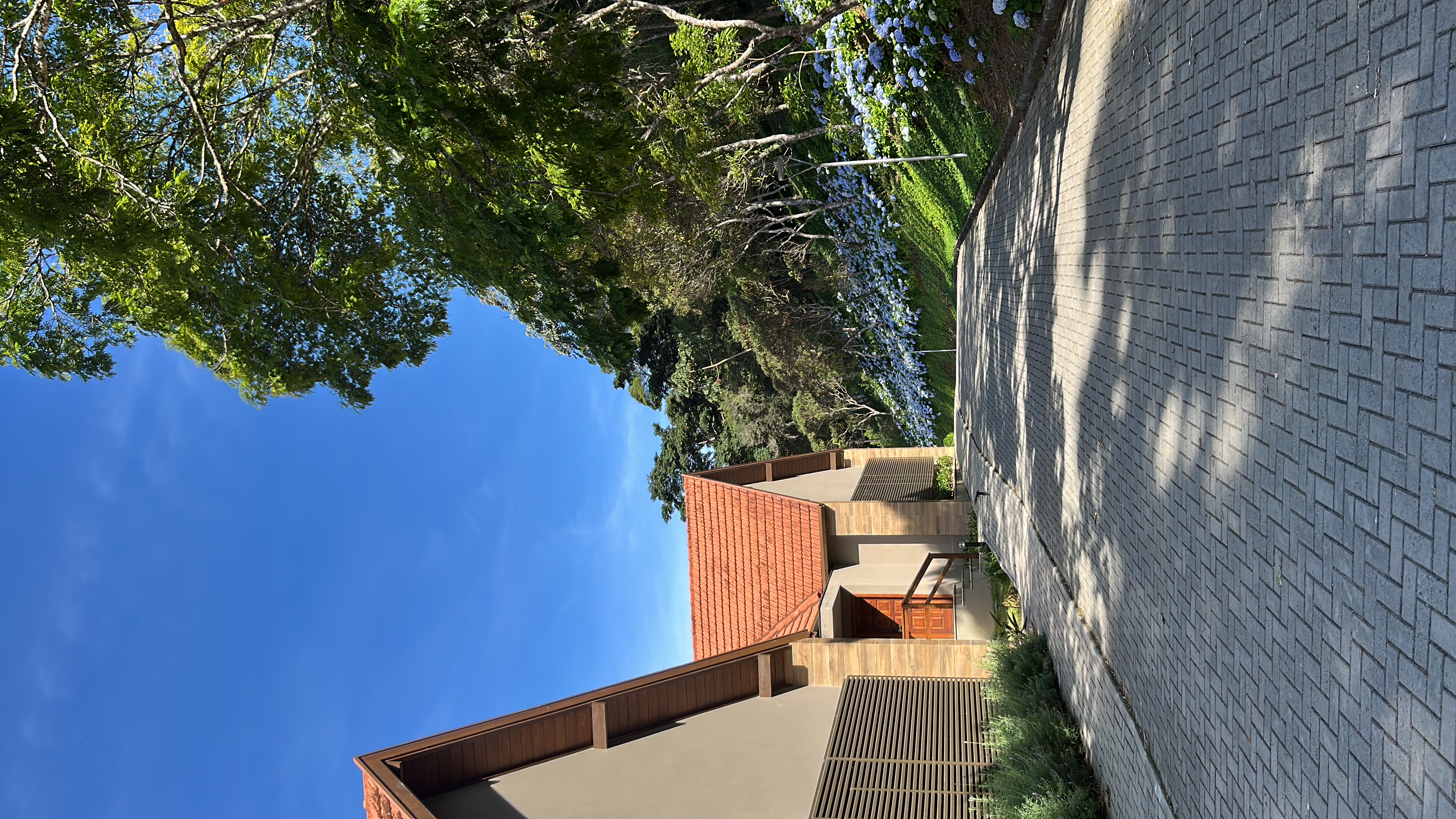 Viajando com Yara - Foto 2