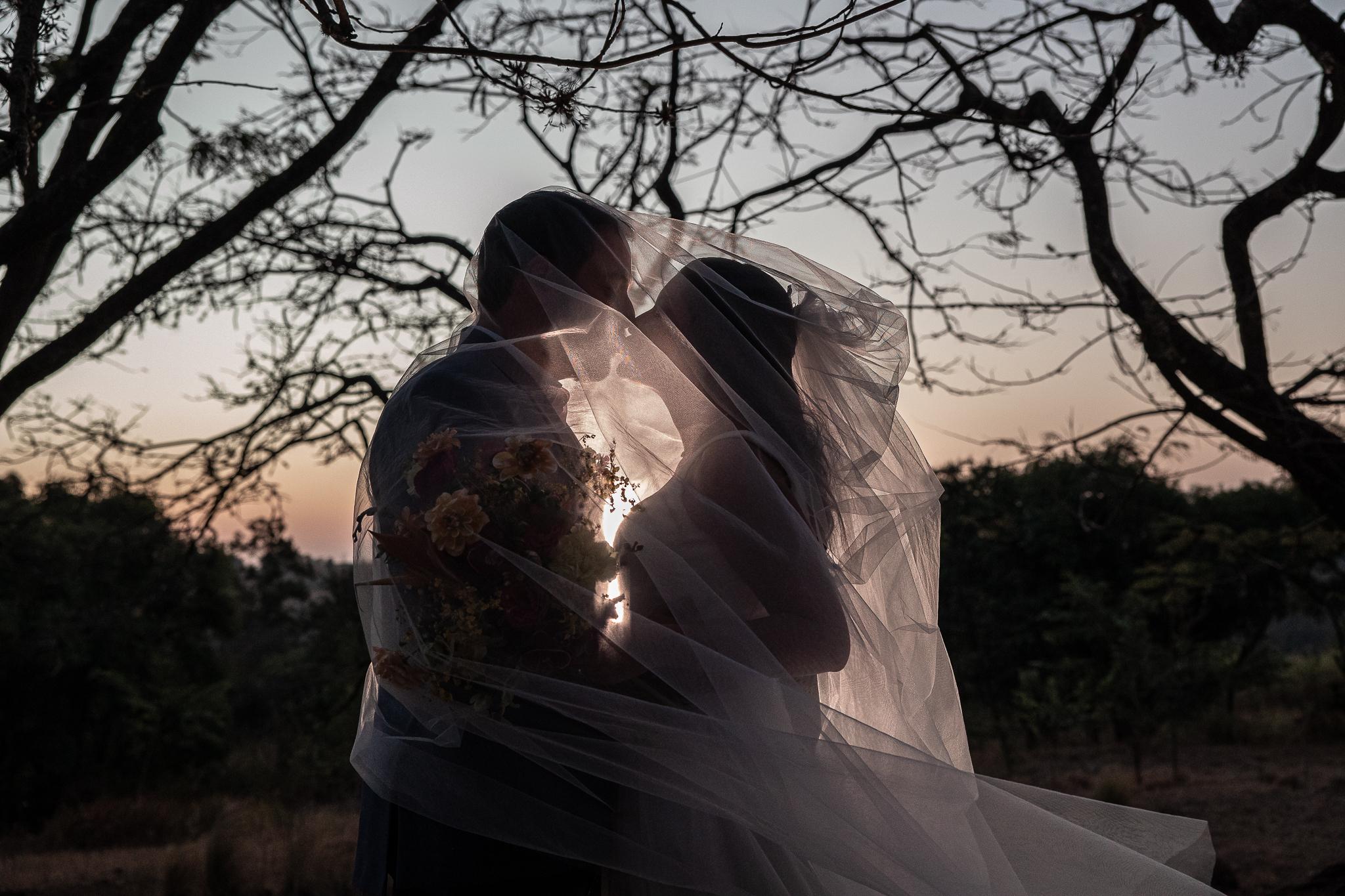 Ana Picoli Fotografa