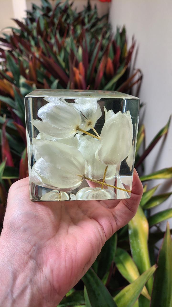 Eternize Plantas - Foto 5